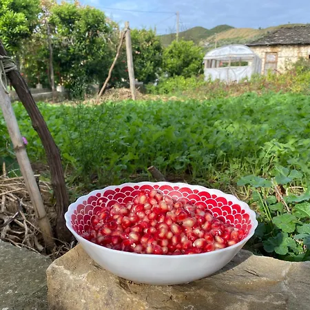 Bujtina Lubinja 公寓